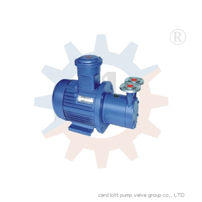 进口磁力驱动旋涡泵美国卡洛特品牌